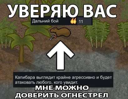 Дальний бой