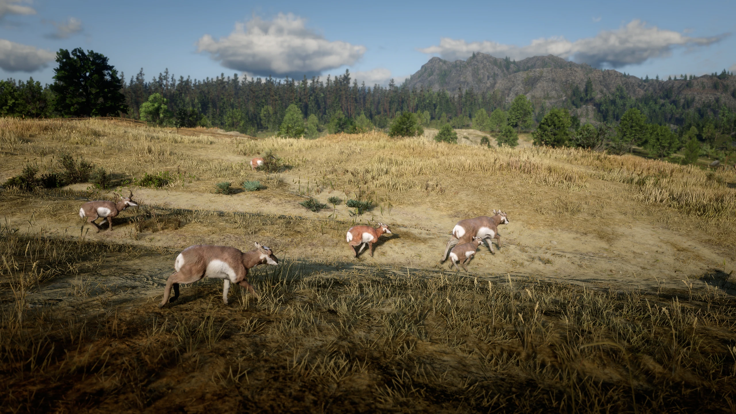 Red Dead Redemption 2 "Охотничьи угодья"