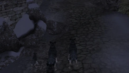 Elder Scrolls 4: Oblivion "Парад питомцев"