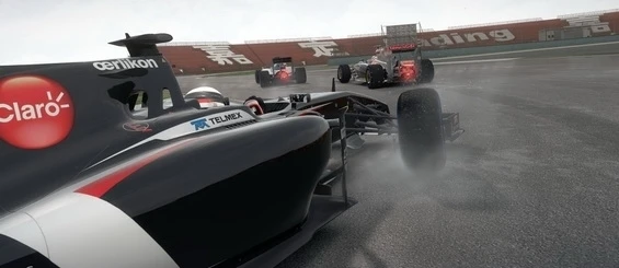 Оценки F1 2014