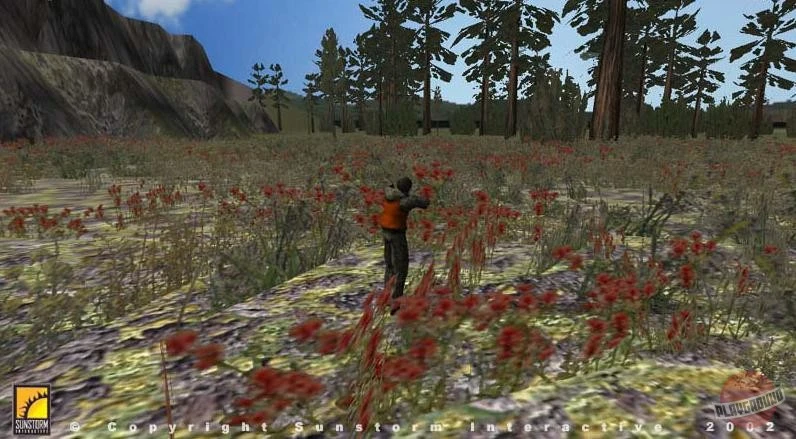 Вышел Deer Hunter 2003