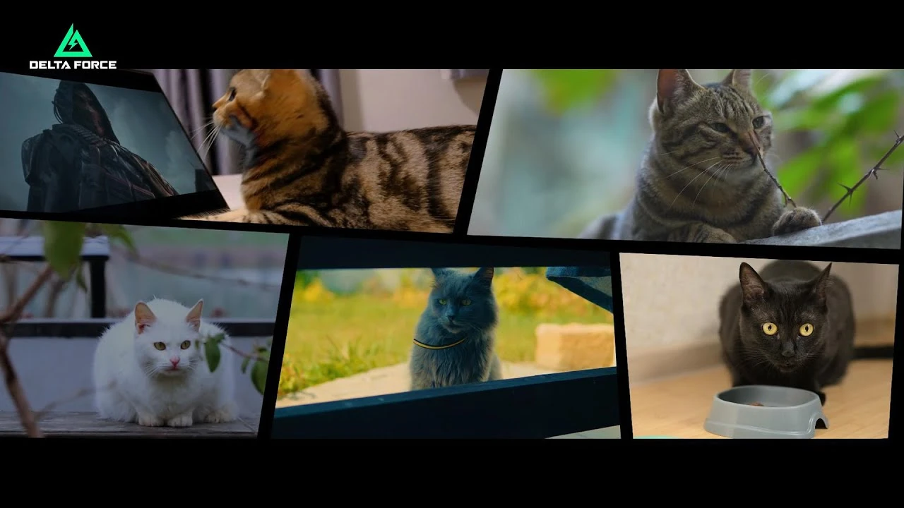 Delta Force: кошки идут в бой - официальный трейлер набора оперативников