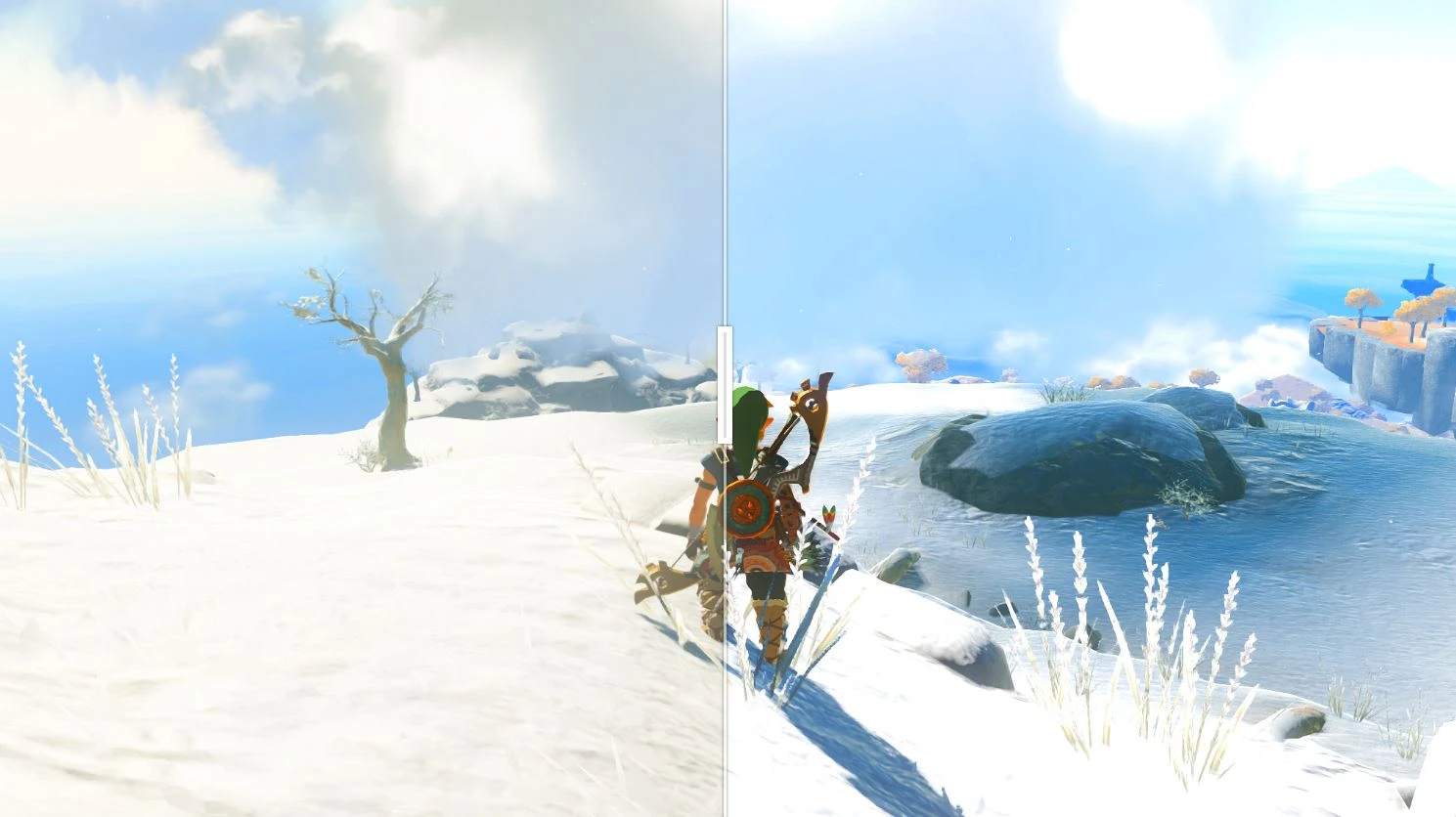 The Legend of Zelda: Tears of the Kingdom "Больше цвета"