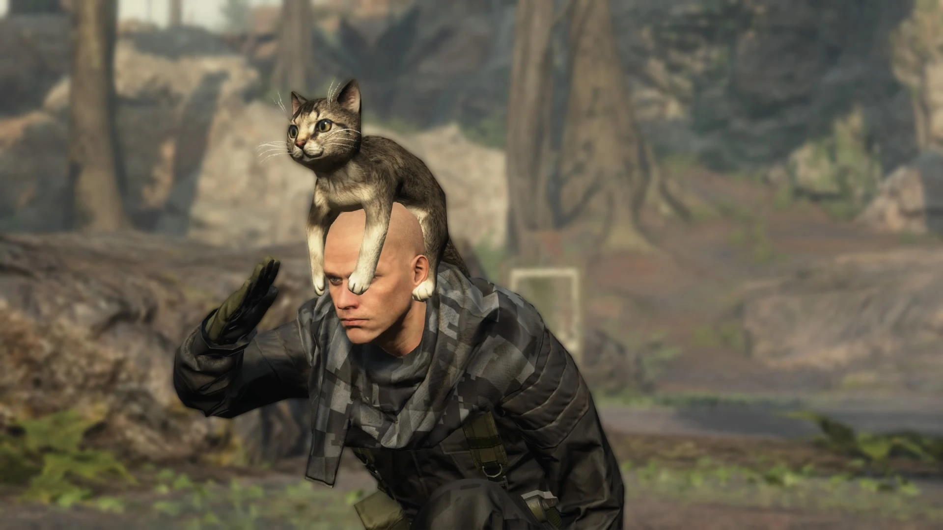 В Metal Gear Online появились кошачьи шапки