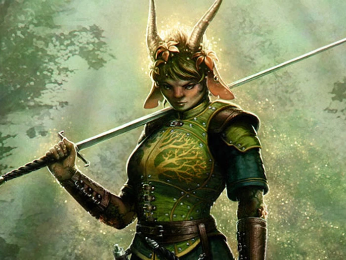 Obsidian рассказала о роли крепостей в Project Eternity