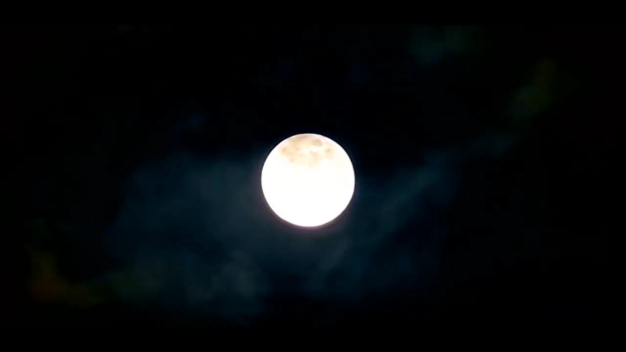 S.T.A.L.K.E.R.: ДРУГОЕ ЖЕЛАНИЕ (фильм по вселенной игры)