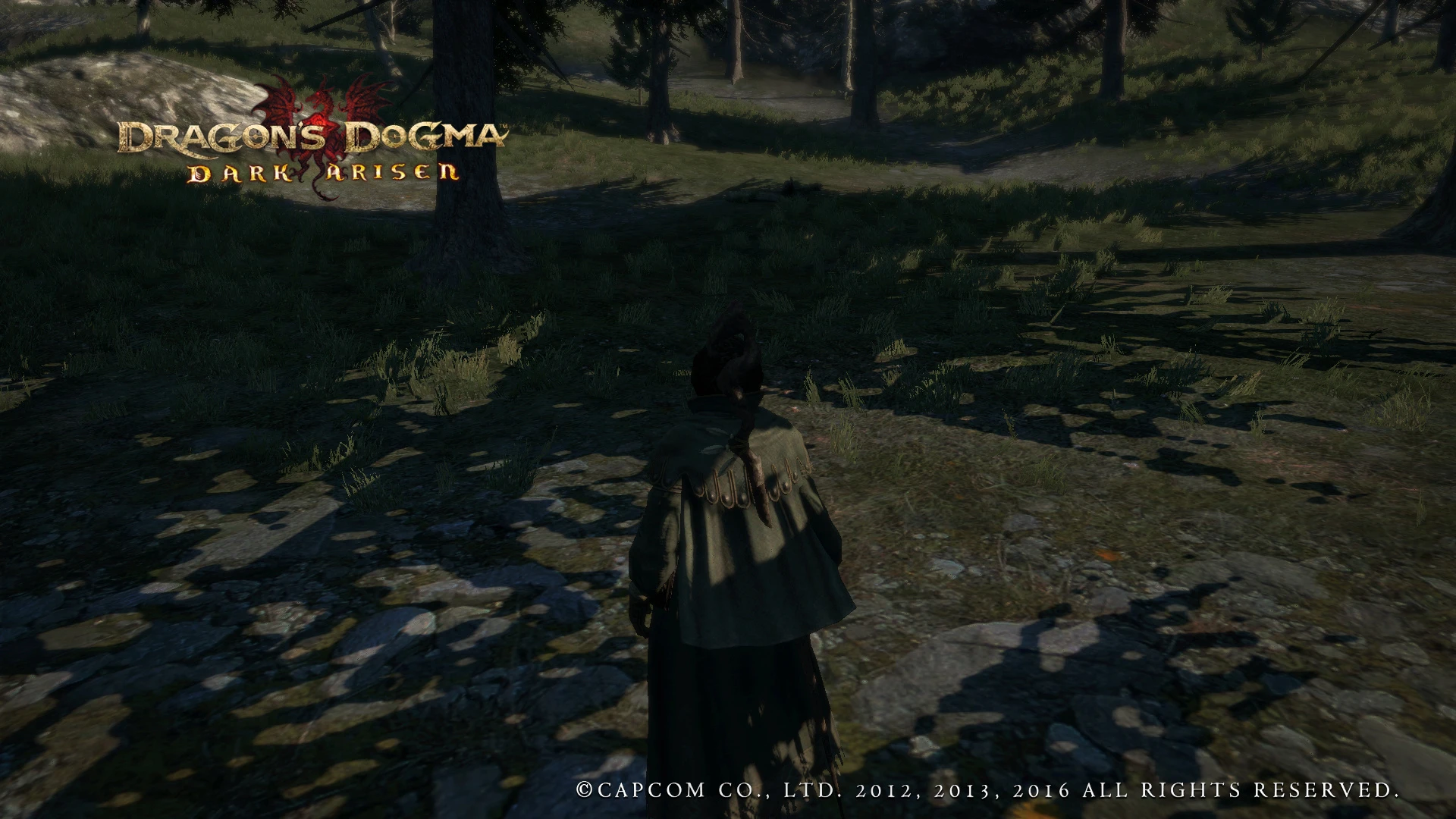 Dragon's Dogma "Мод убирающий водные знаки Capcom со скринов"