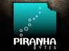 Piranha Bytes работает над новой игрой
