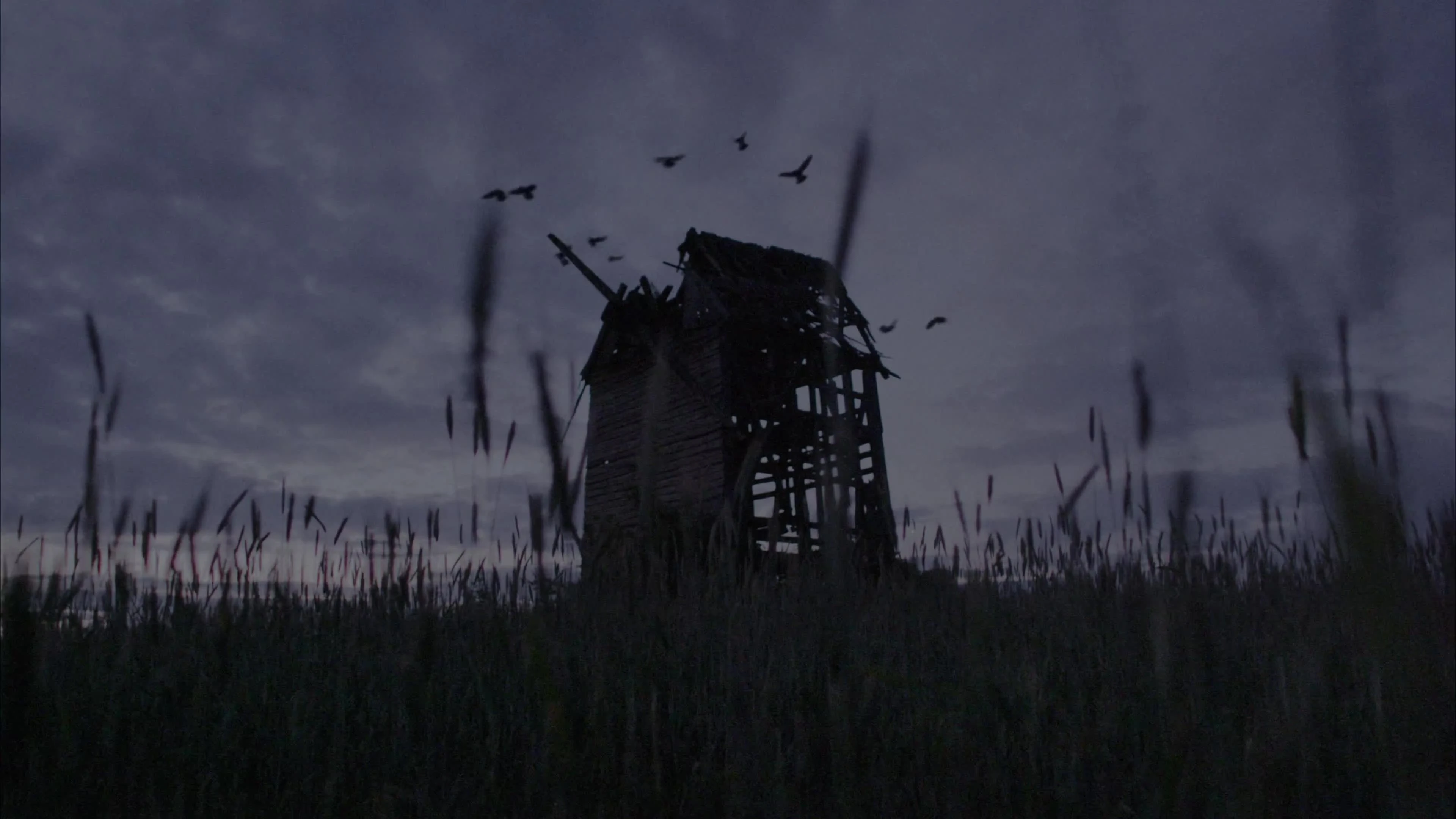 Darkwood - Лайв-экшен трейлер