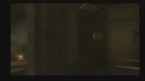 Prince of Persia: Warrior Within (Acrobat)