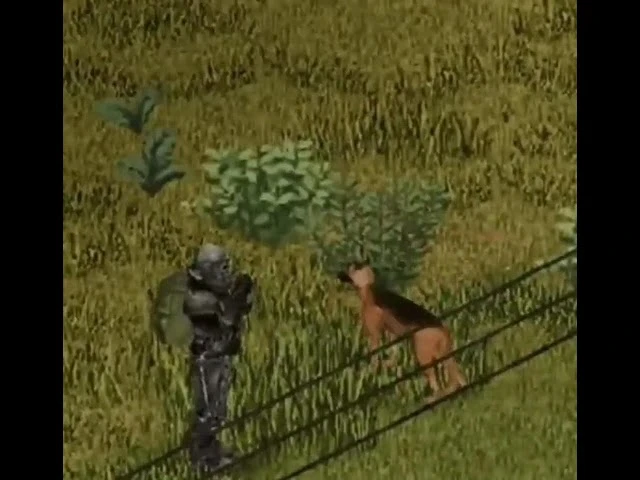 Мы многого не знаем о четвероногих