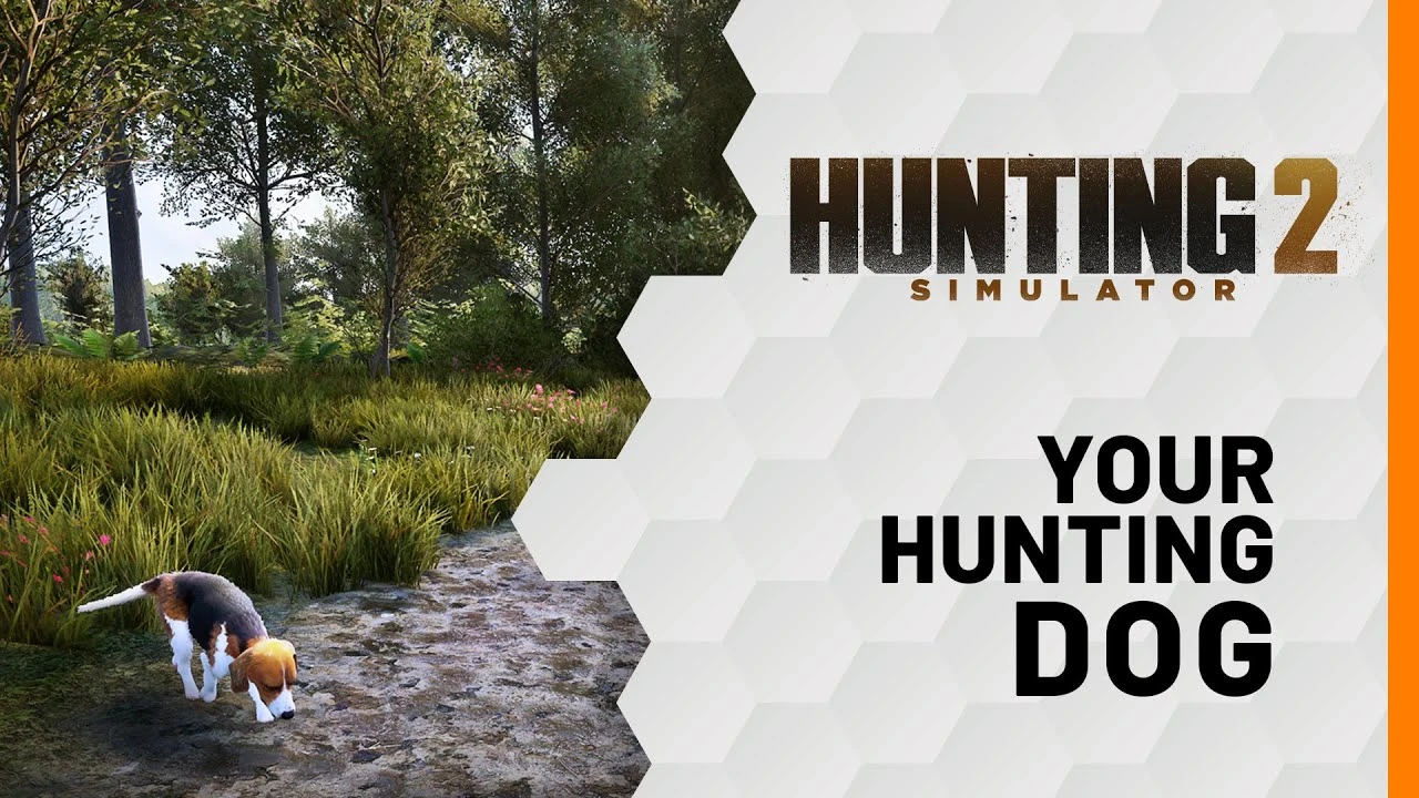 Вы сможете погладить собаку (и взять ее с собой на охоту) в Hunting Simulator 2