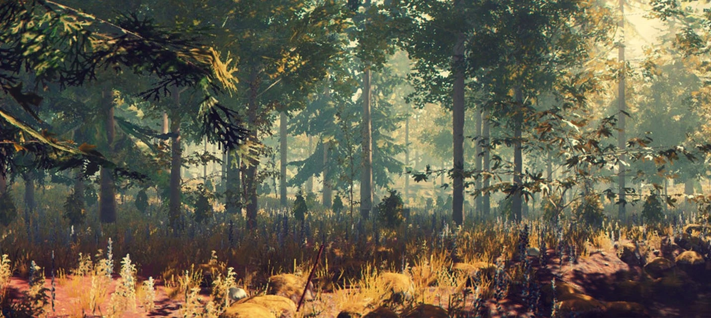 15 минут геймплея хоррор-сурвайвала The Forest с PS4