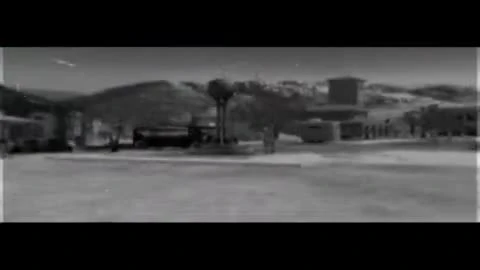 The Movies - Cinema Verite