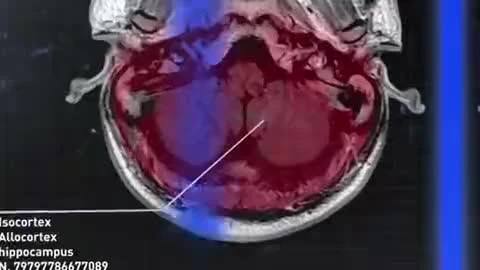 VectorCell анонсировала Flashback HD. Дебютный трейлер прилагается