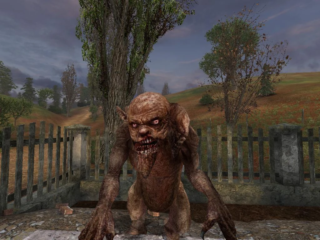 S.T.A.L.K.E.R.: Shadow of Chernobyl "Пак моделей Химер"