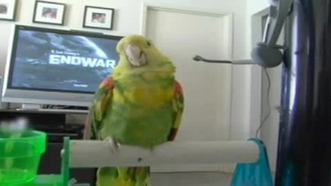 Tom Clancy's EndWar "Awesome Animal Tricks"