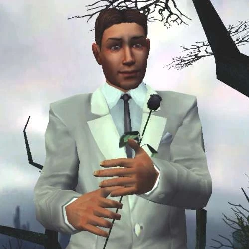 Movies "Черная Роза"