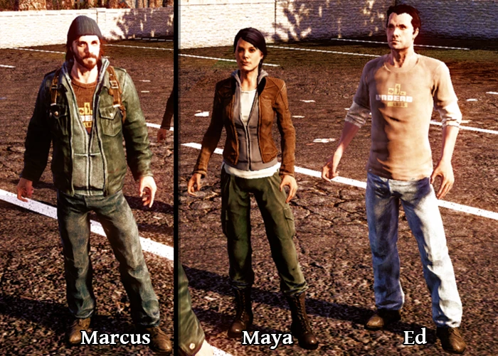 State of Decay "Скин пак"