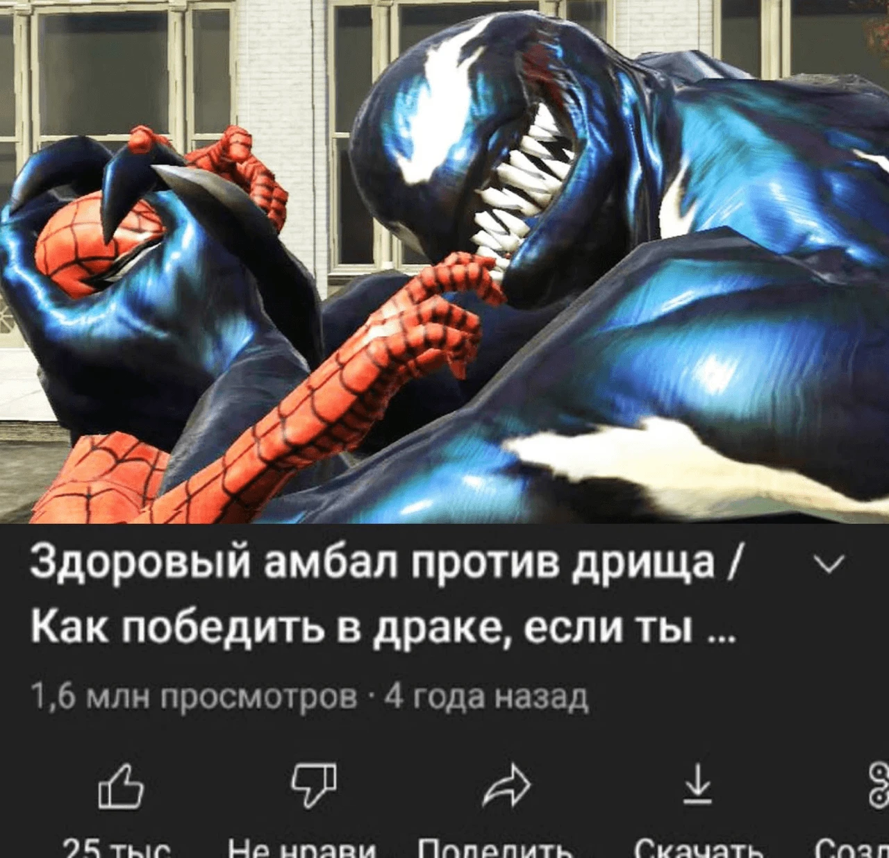 Руководство