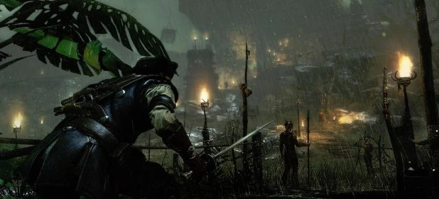 Raven's Cry перенесли на январь 2015