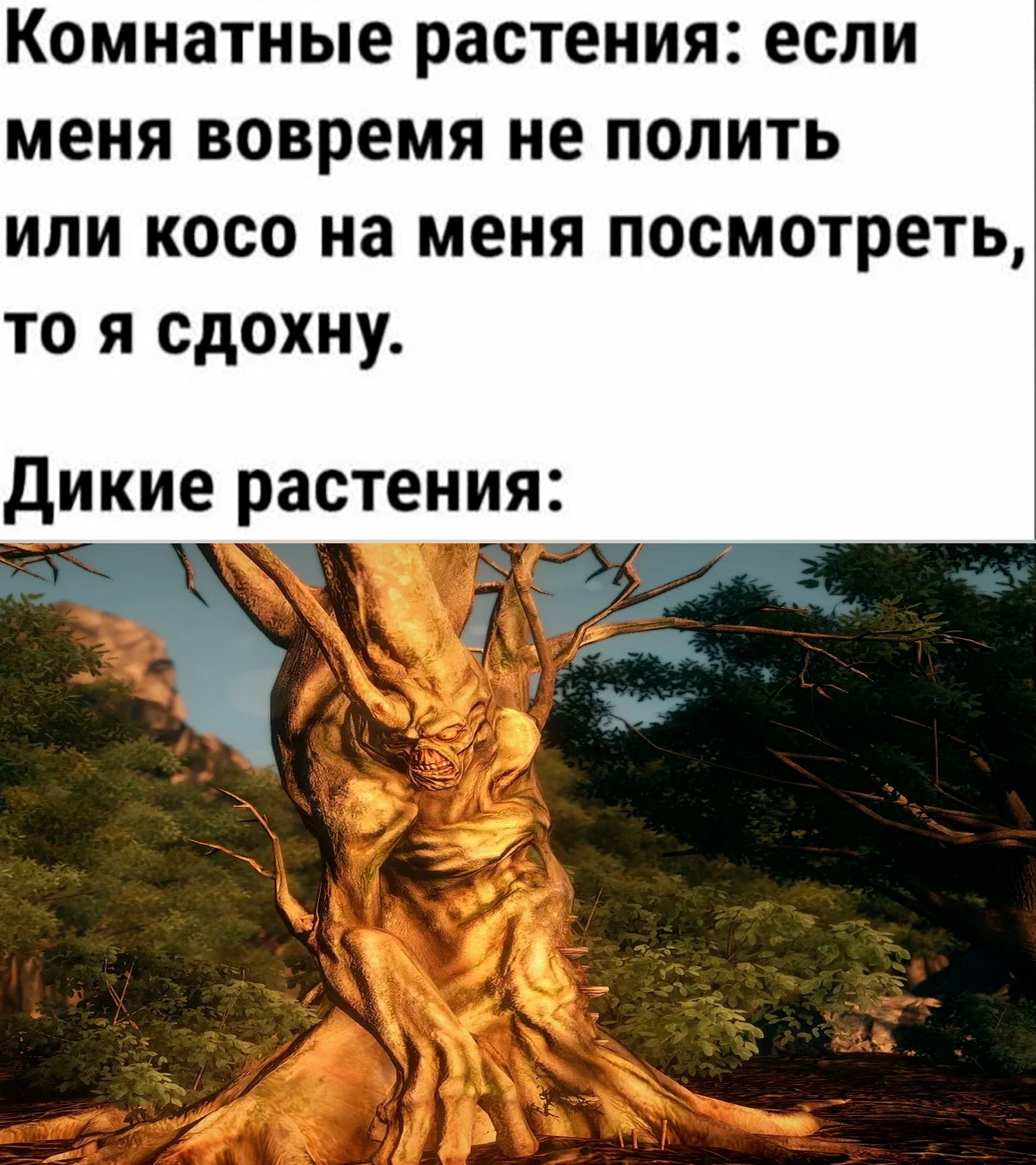 Уровень адаптации растений