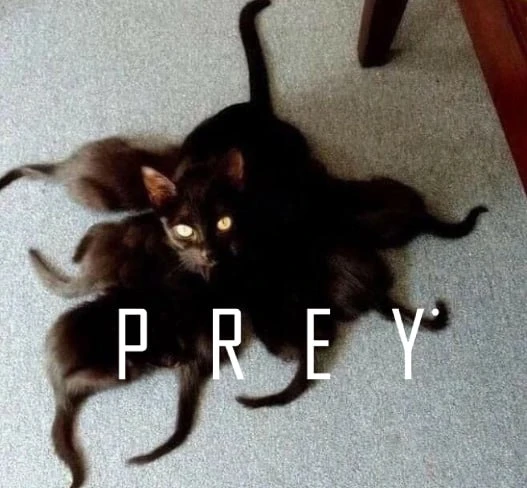 Домашний мимик прямиком из Prey