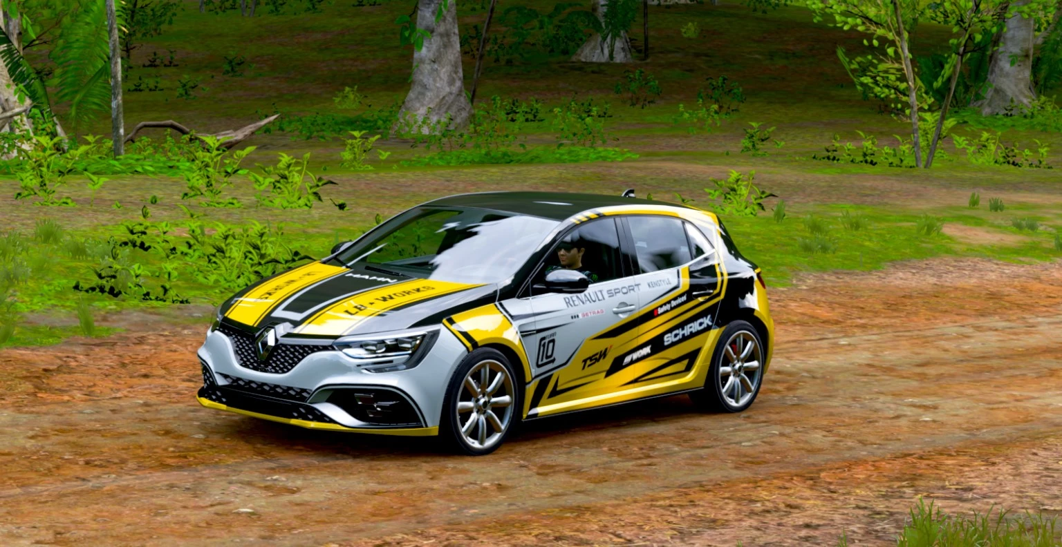 Forza Horizon 5 "Сохранение - все существующие машины на сегодняшний день + 53 с индивидуальными скинами"