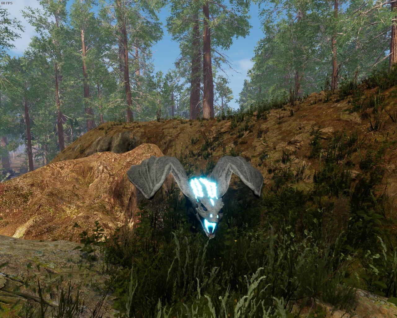 Что нужно знать в начале игры Day of Dragons