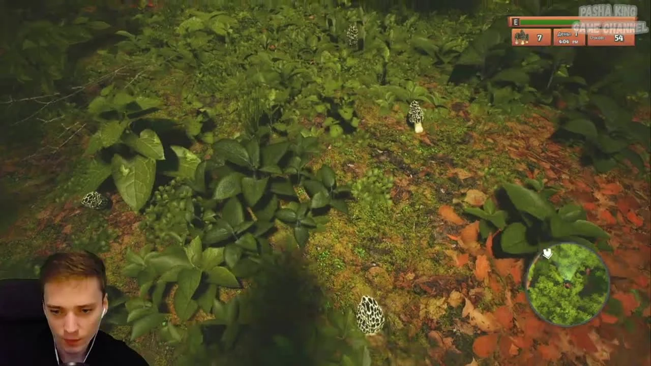 Morels: The Hunt - Первый взгляд на игру