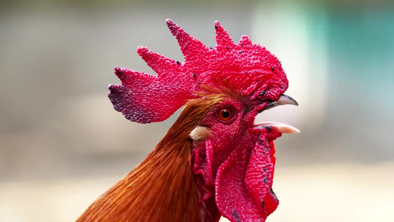 О чем была первая Call of Duty? Часть 2