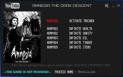 Amnesia The Dark Descent: Трейнер/Trainer (+6) [Latest Steam] {LIRW / GHL}