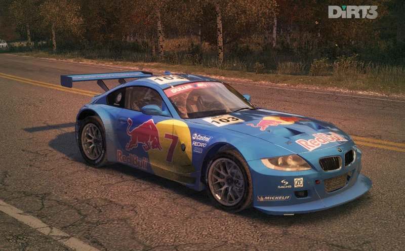 DiRT3 "BMW Z4m Coupe Motorsport Team"