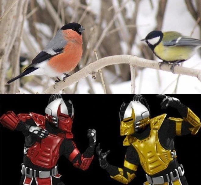 Реинкарнация в реальности