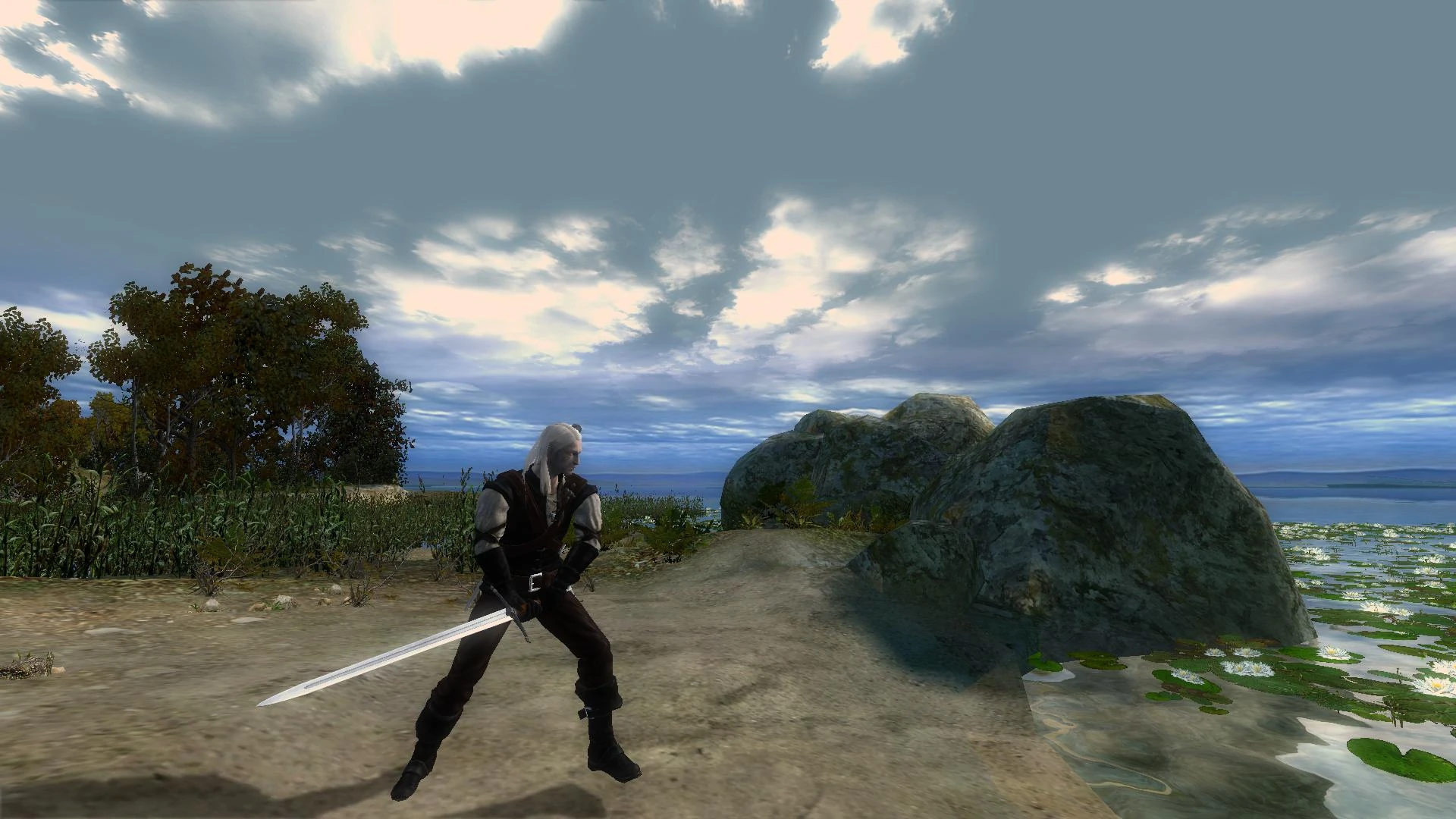 Witcher "Новая модель стального меча ведьмака"