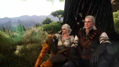 Witcher 3 "Текстуры Лица Enrai"