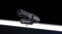 Вебкамера AVerMedia PW313}