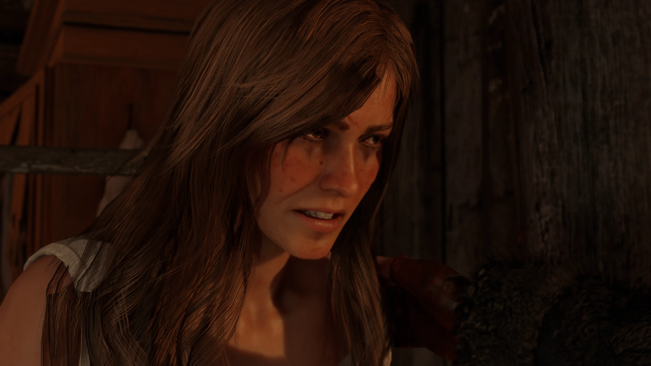 Red Dead Redemption 2 "4k персонажи сюжетные и побочные"