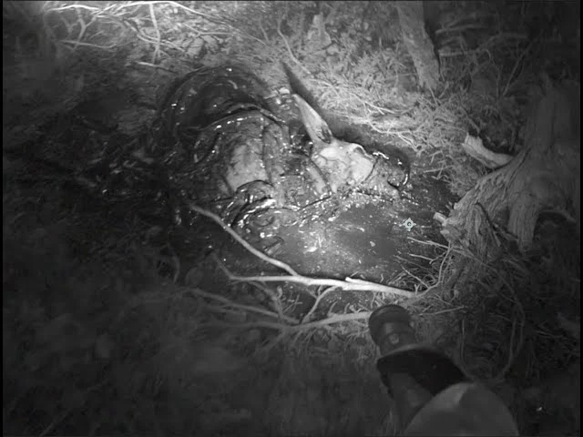 Разработчик хоррора ILL представил новую жуткую короткометражку в жанре "найденной плёнки"