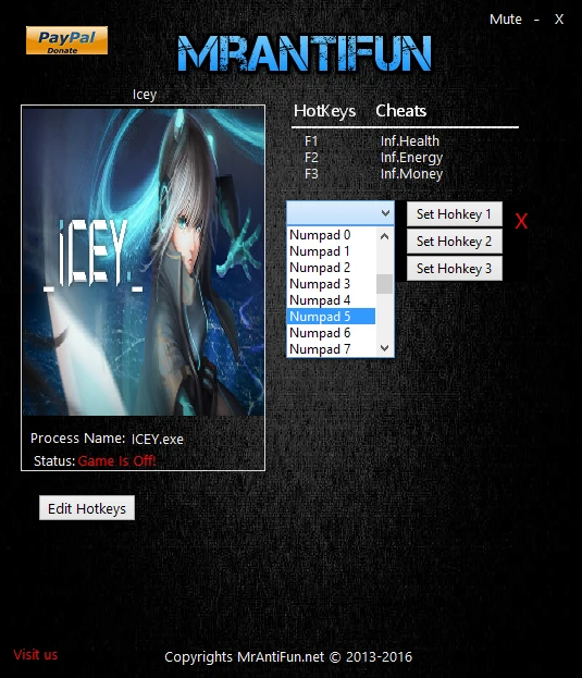 ICEY: Трейнер/Trainer (+3) [11.20.2016: x64] {MrAntiFun}