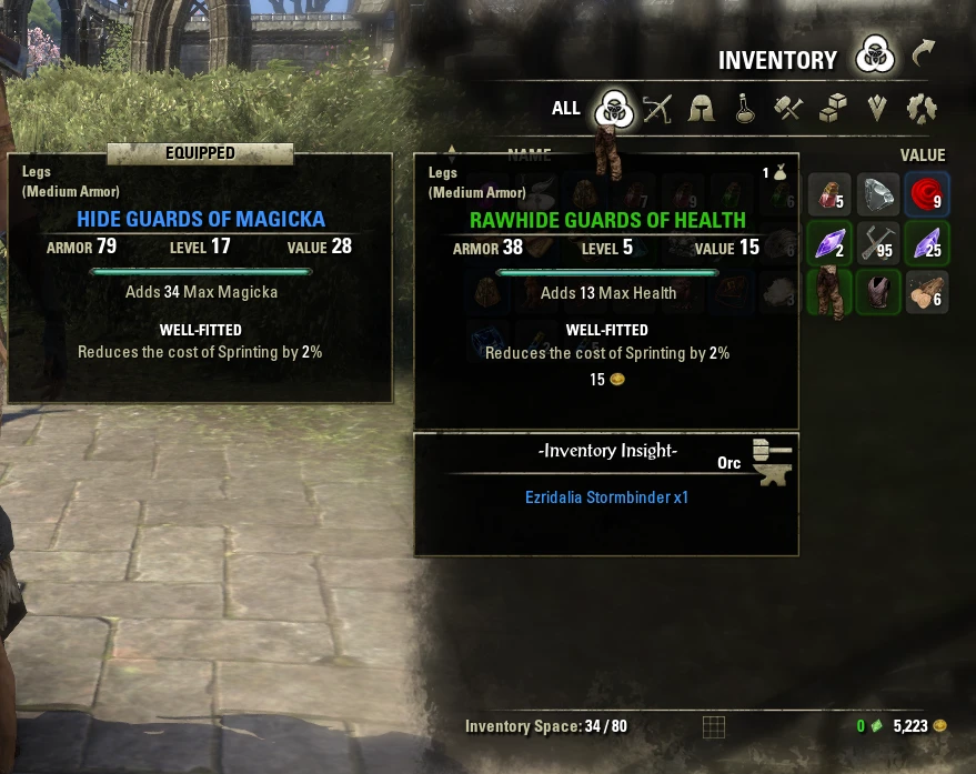TES Online — Vicster’s InventoryInsight