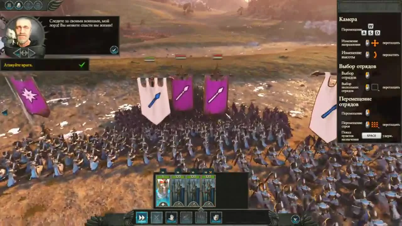 Обзор Total War Warhammer 2 | Вперёд! И эльфы наши быстры | Первый взгляд