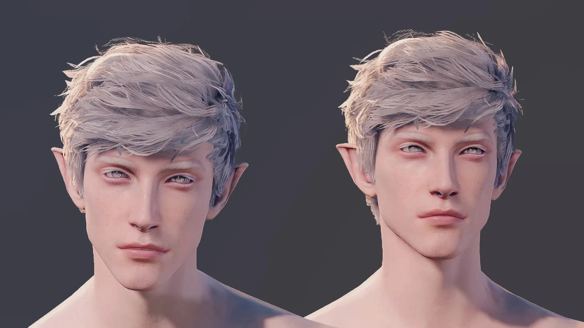 Baldur's Gate 3 "Пресет головы, волосы и шрамы Элгота от Hijimare"