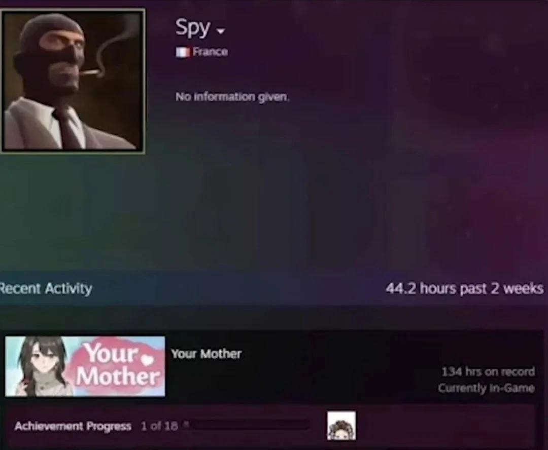 Шпион посещал Твою Мать