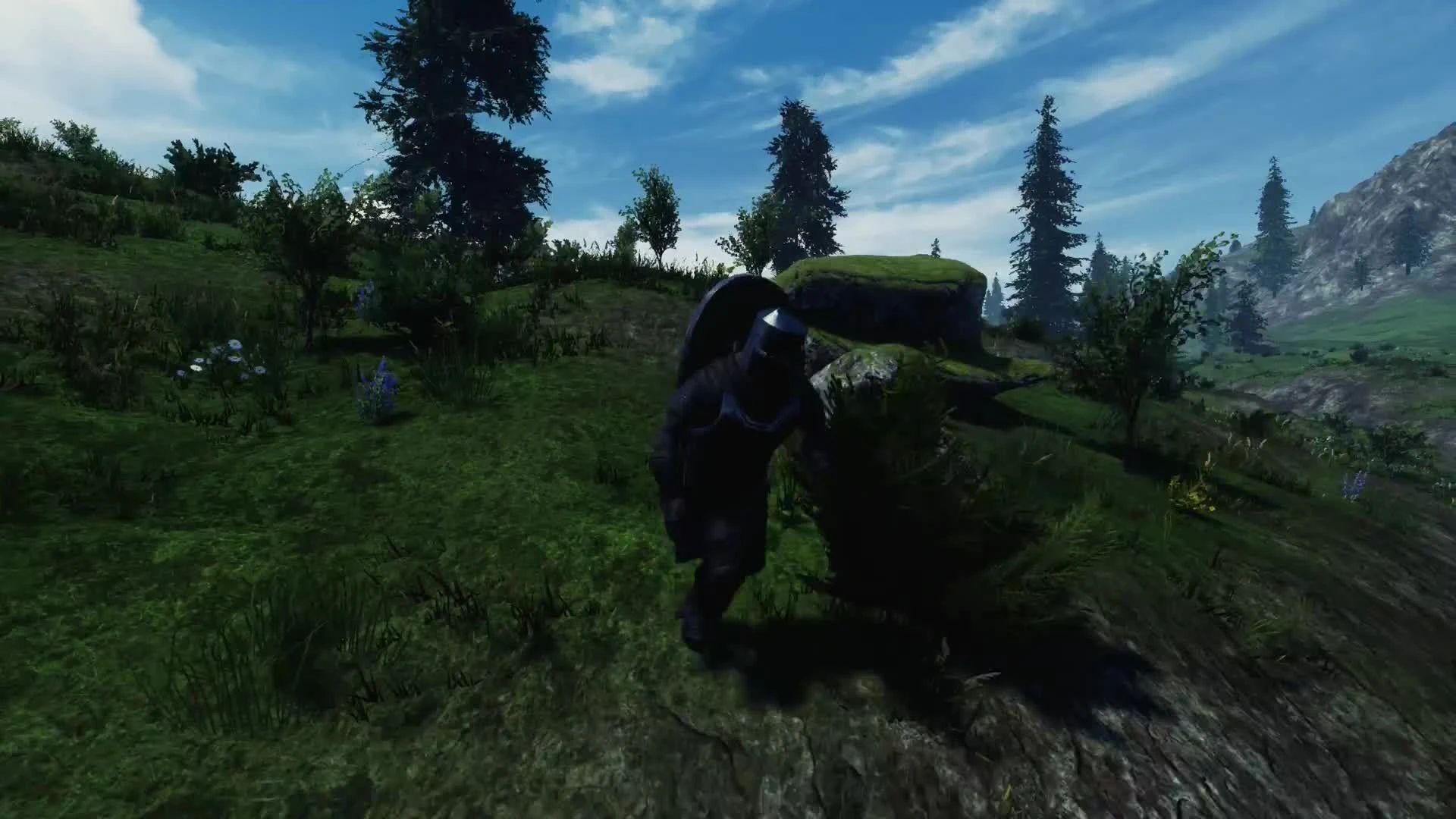 Reign of Guilds: немного о локации