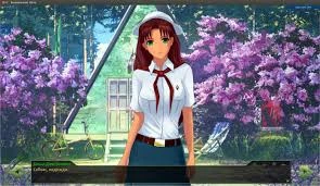 Обзор визуальной новеллы Бесконечное лето