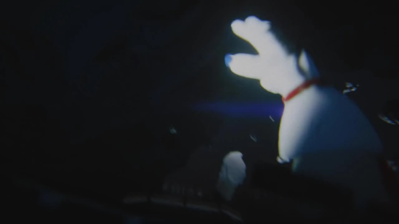 REVERSE SIDE "Тизерный ролик"