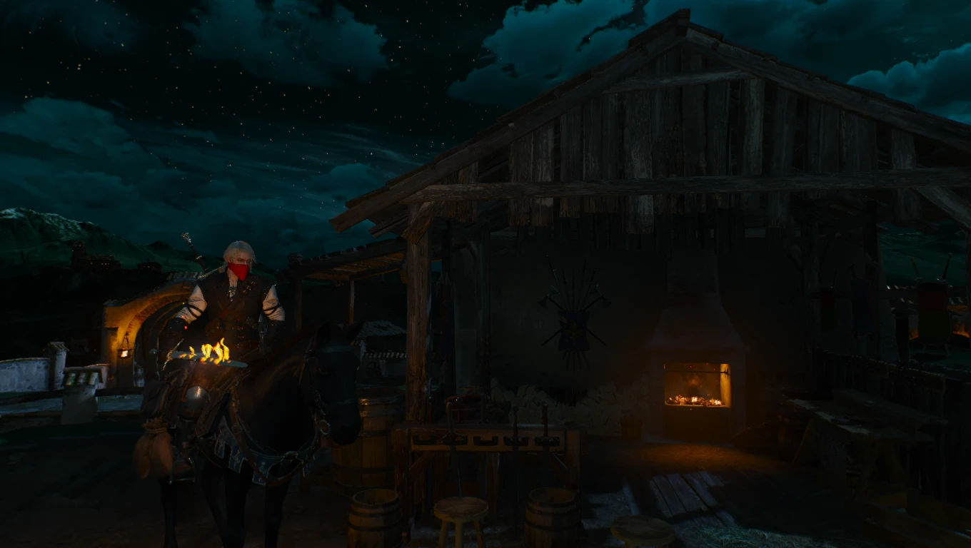 Witcher 3 "Сет Шани"