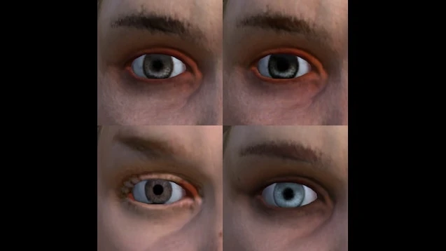 Kenshi "Улучшенные женские глаза"