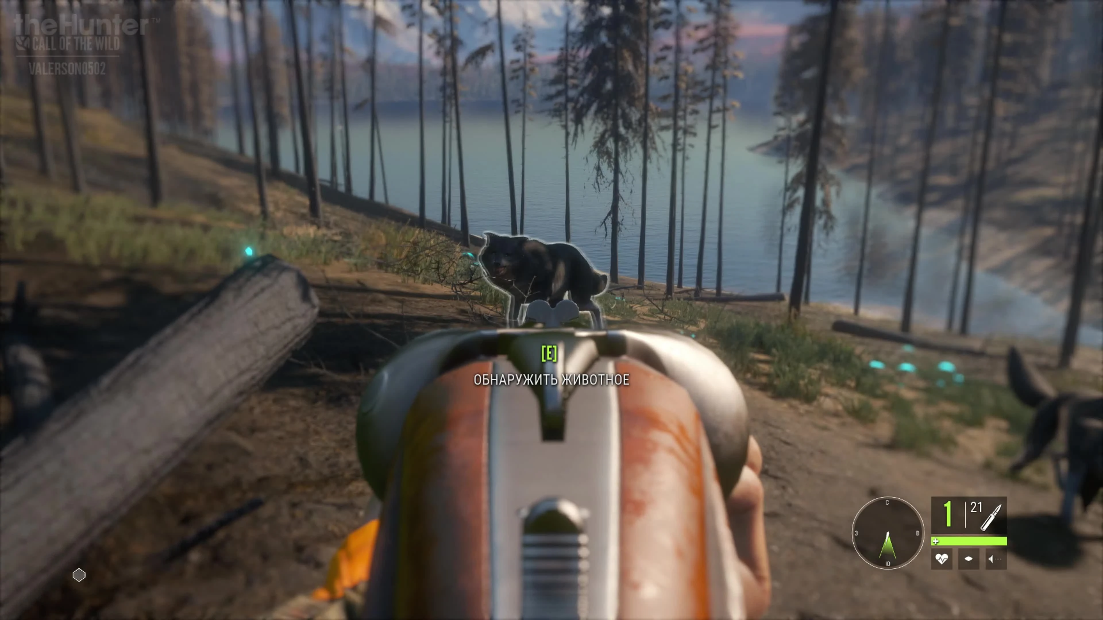 The Hunter: Call of the Wild - Падение стаи волков